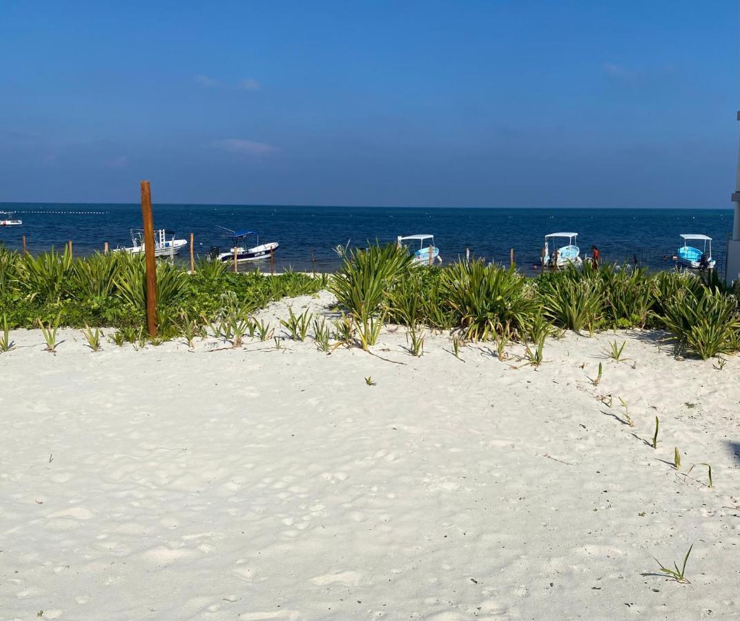 Casa Lucia Beachfront 푸에르토 모렐로스 외부 사진