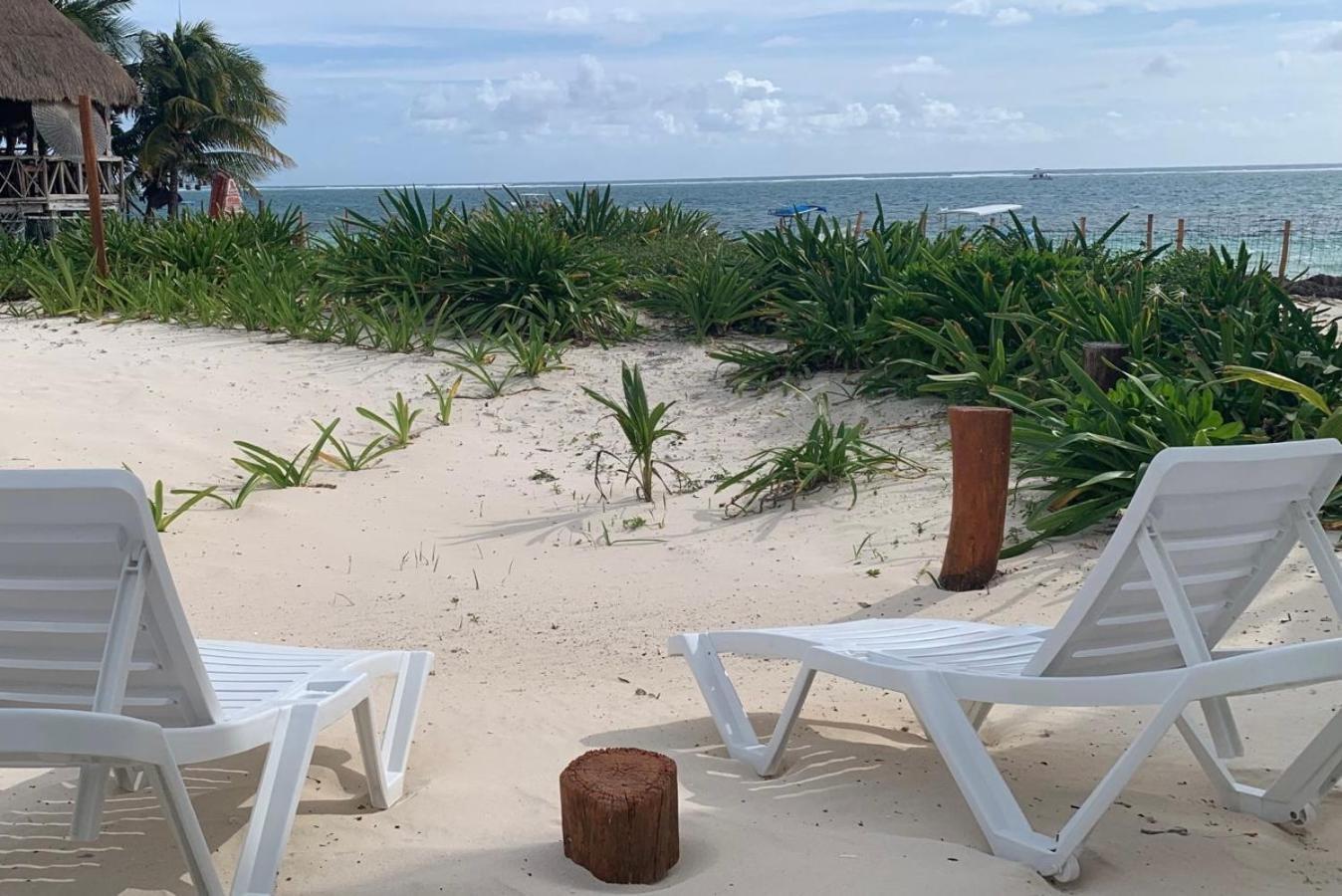 Casa Lucia Beachfront 푸에르토 모렐로스 외부 사진
